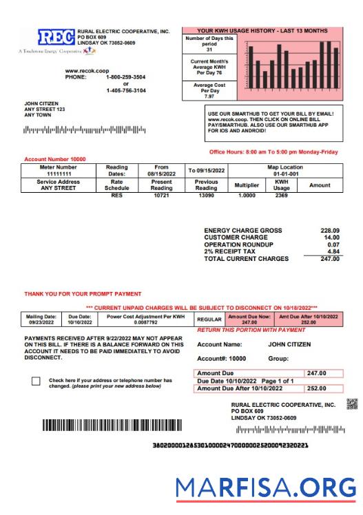 Blank USA Rural Electric Cooperative utility bill template in Word and PDF format